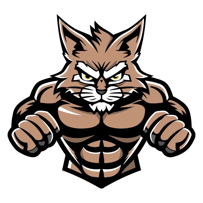 Musculation des muscles du chat