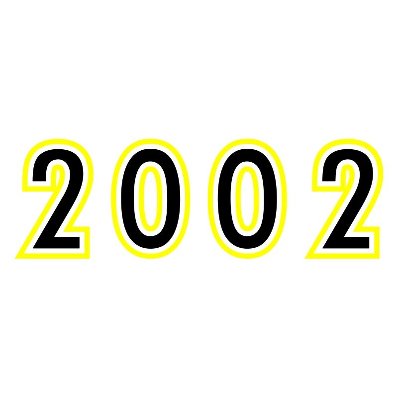 2002 Year Birthday
