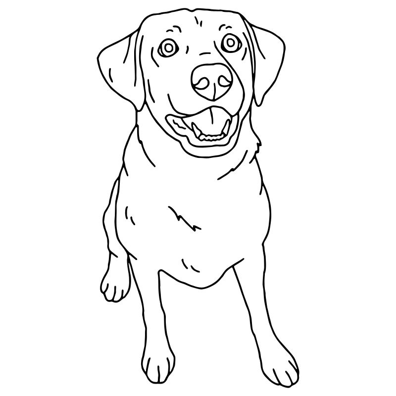 chien