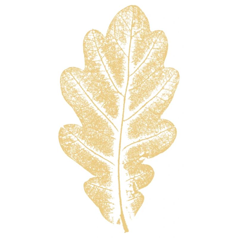 Eichenblatt - Khaki- Blatt/ Eiche/ Baum
