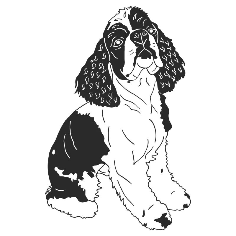 Cocker Spaniel