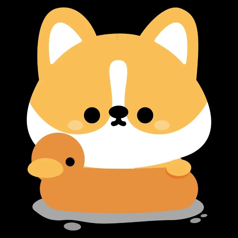 Corgi Schwimmen
