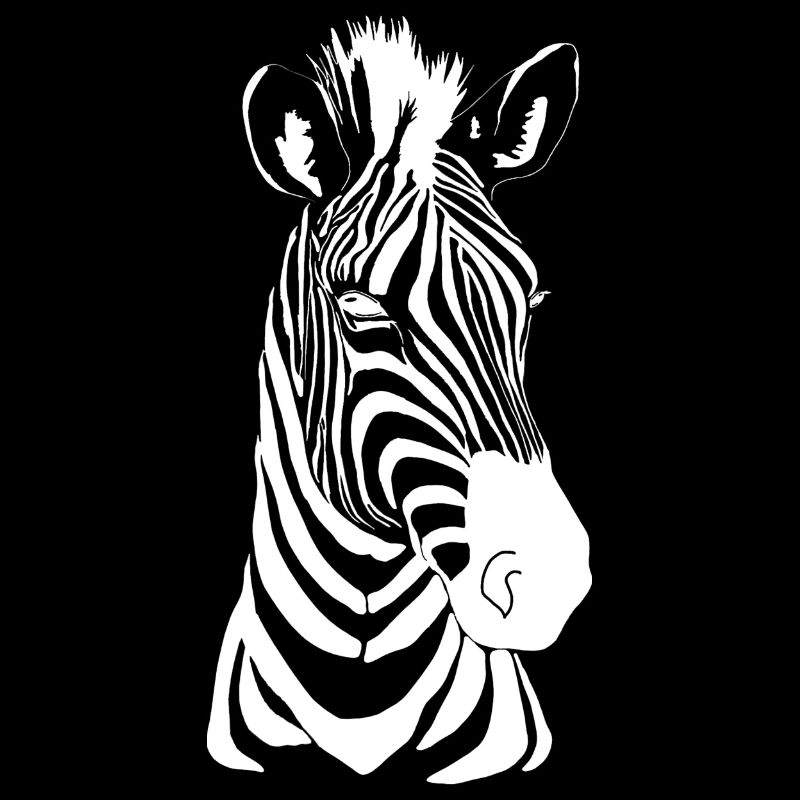 Zebra weiß