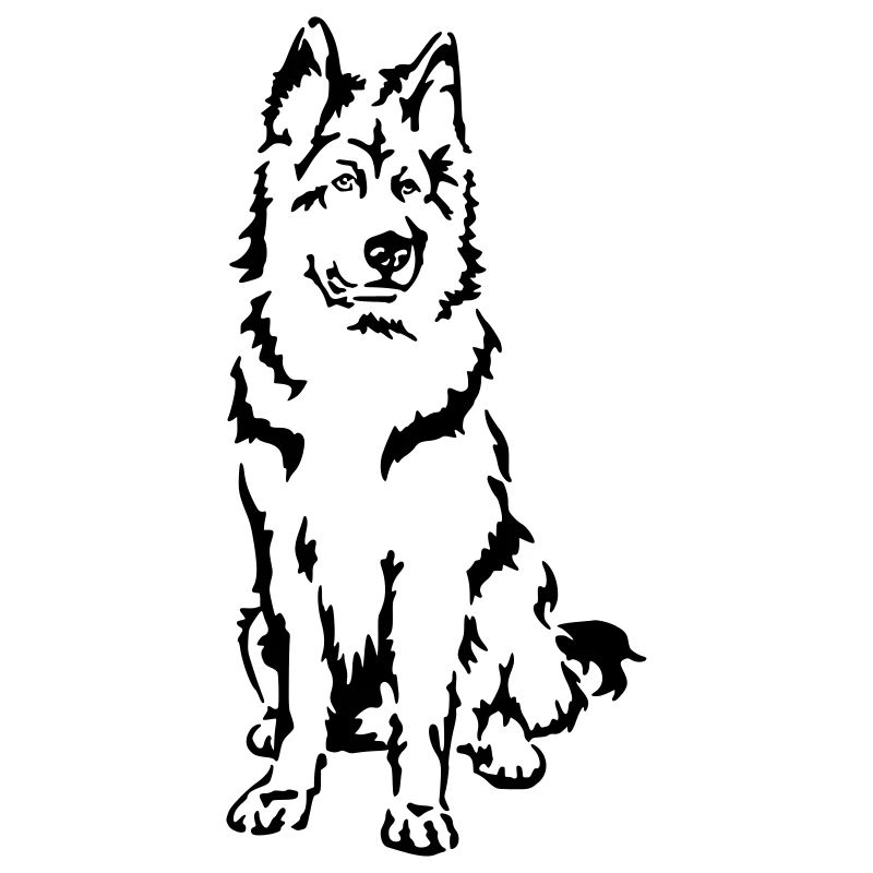 Schäferhund Altdeutscher