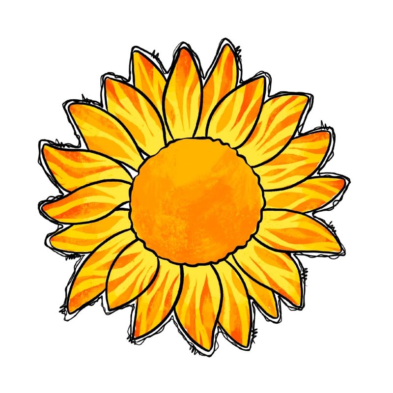 Sonnenblume
