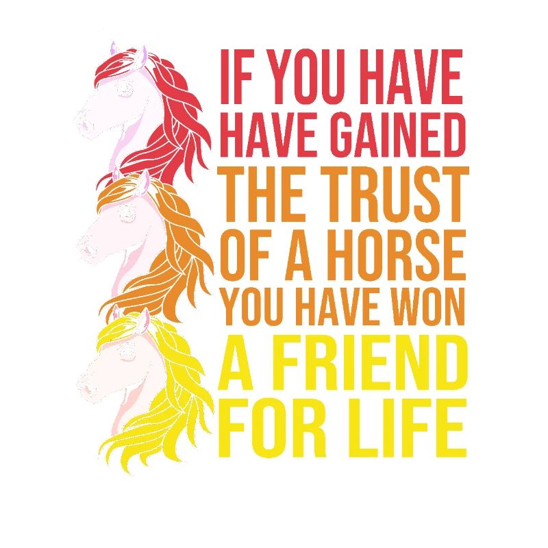 Springreiten Springpferd