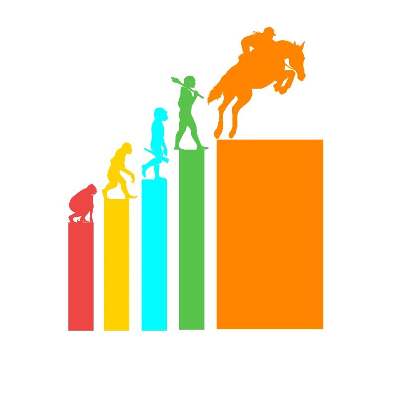 Springreiten Springpferd