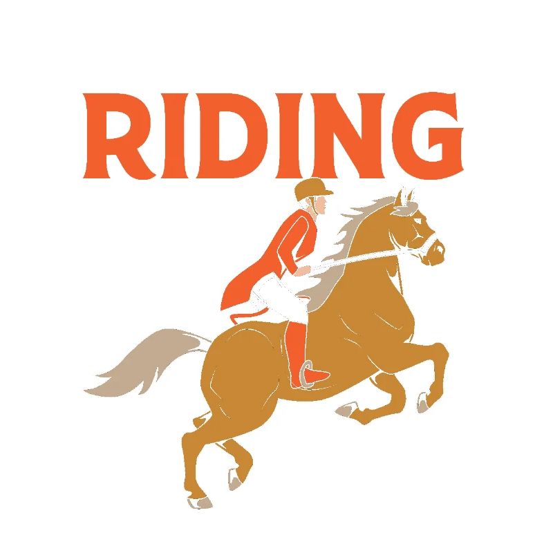 Springreiten Springpferd