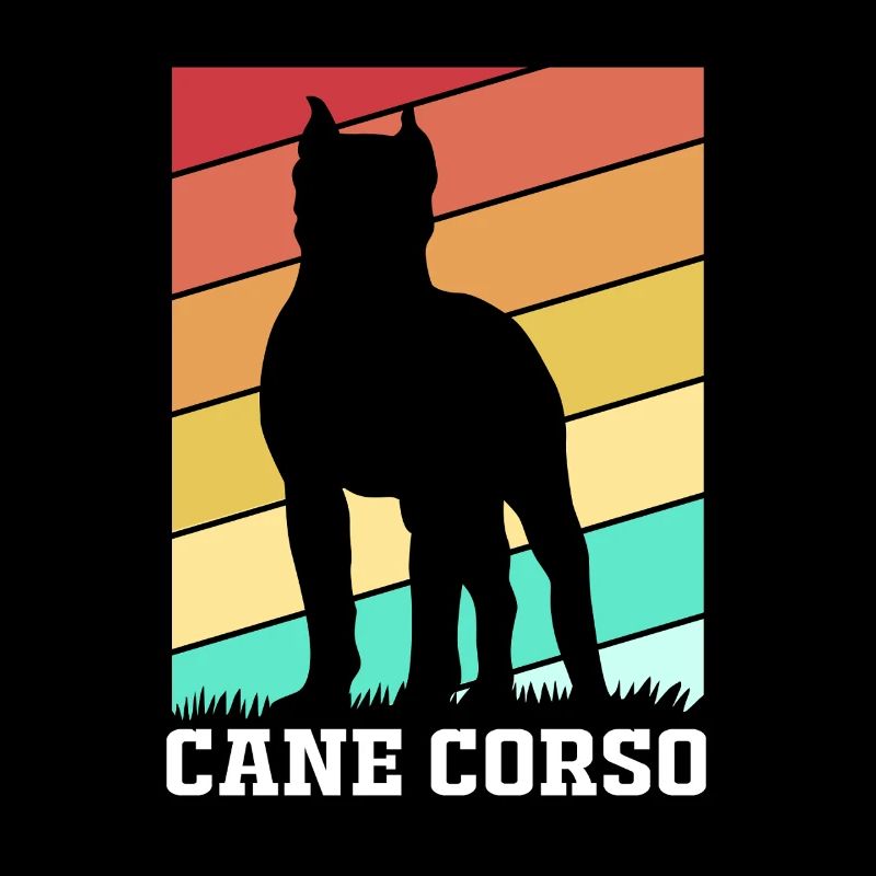 Cane corso