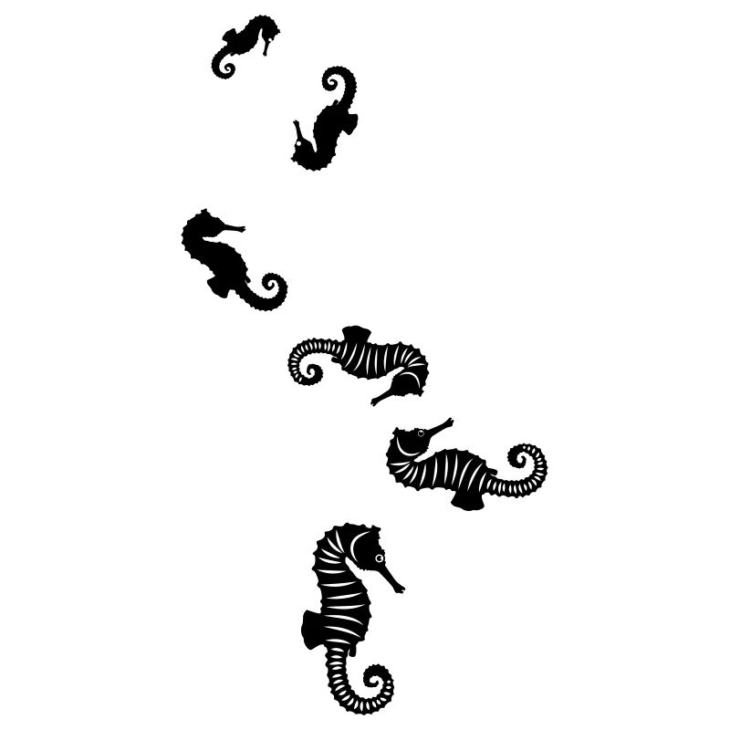 Hippocampe