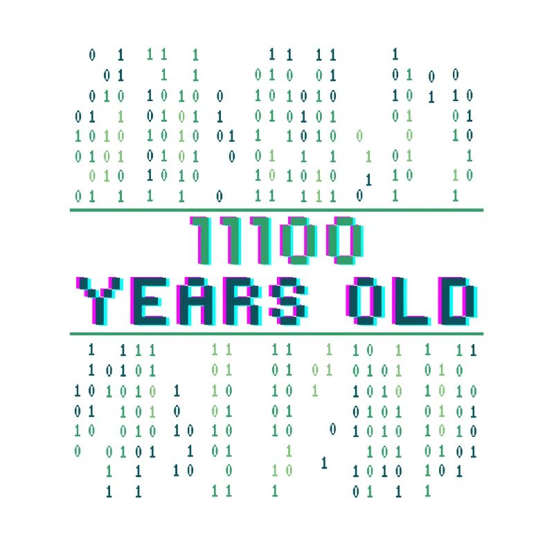 28. Geburtstag 28 Jahre alt Binärcode Coder