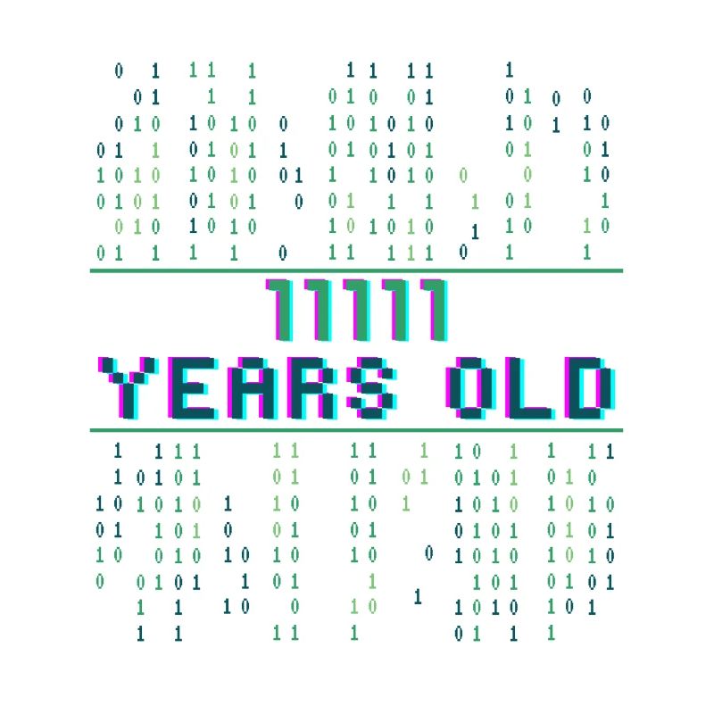 31st birthday 31 years old Binary Code Computer Science