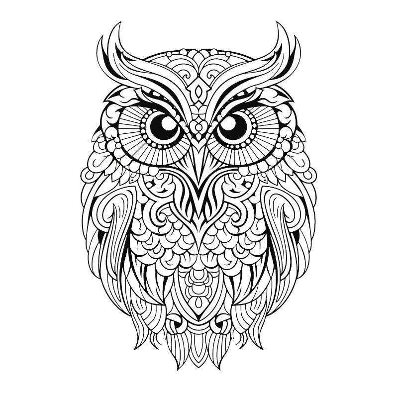 Mythical Magical Boho Owl with Patterns