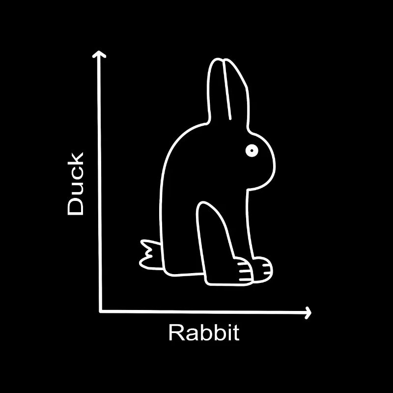 DUCK RABBIT - Hase Ente - Graph lesson