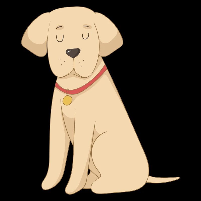 Labrador Jaune