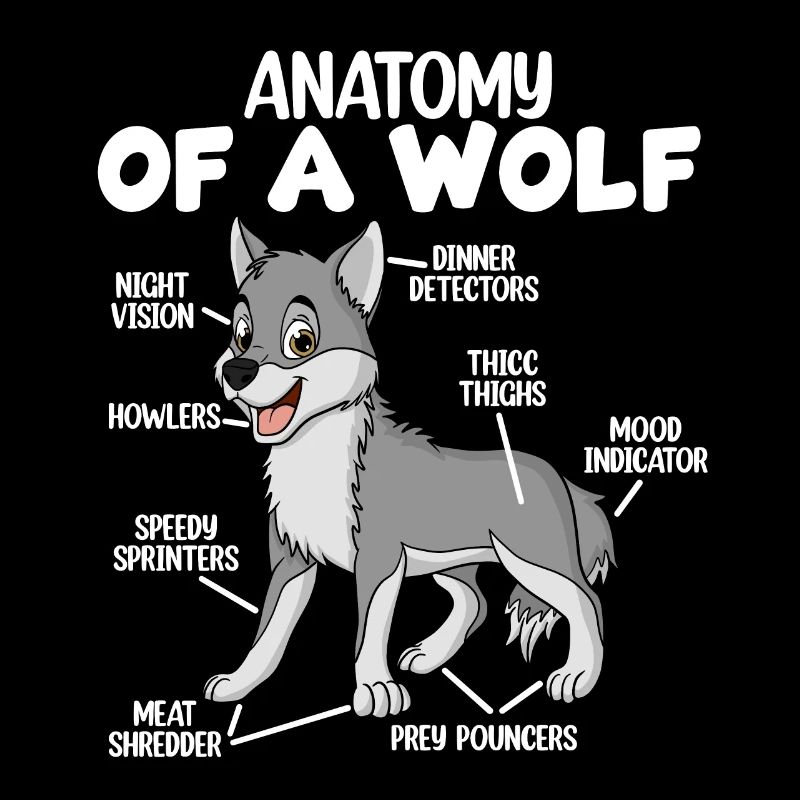 Anatomie eines Wolfes