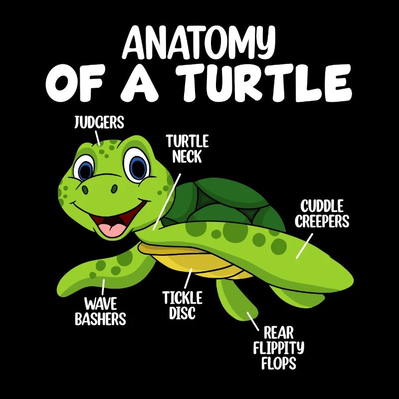 Anatomie einer Schildkröte