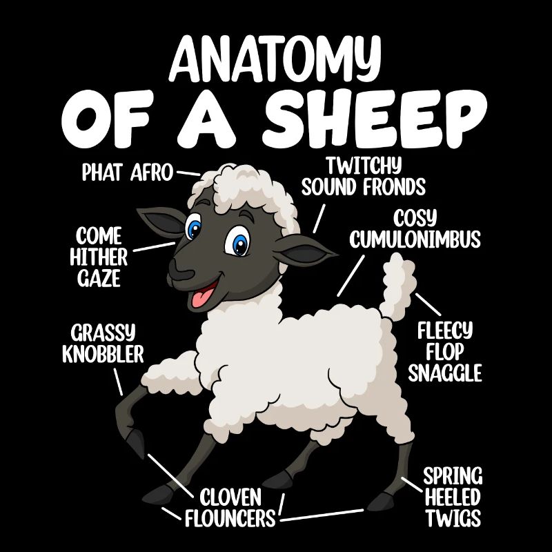 Anatomie eines Schafes