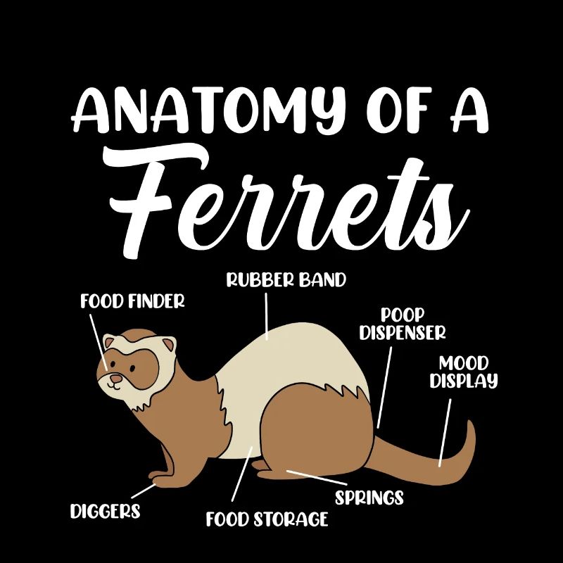 Ferret