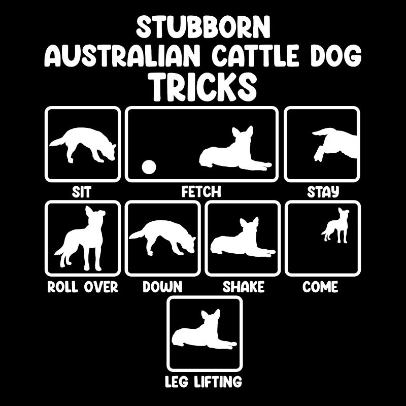 Bouvier australien