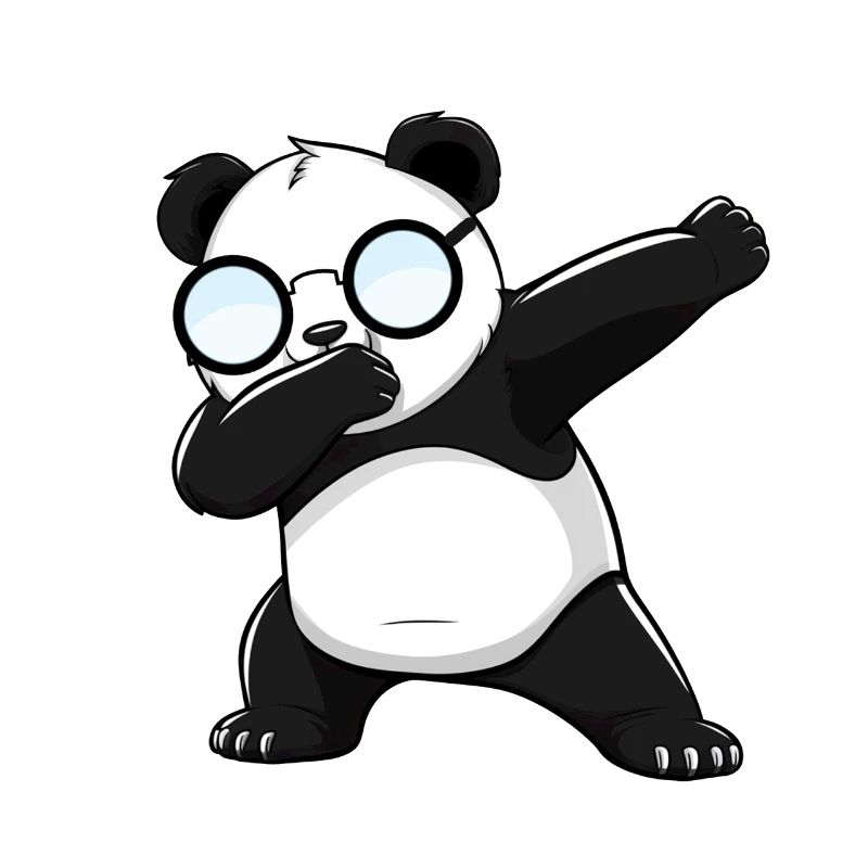 Panda Panda Ours Drôle