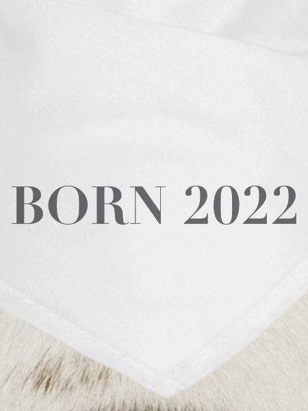 Birth 2022