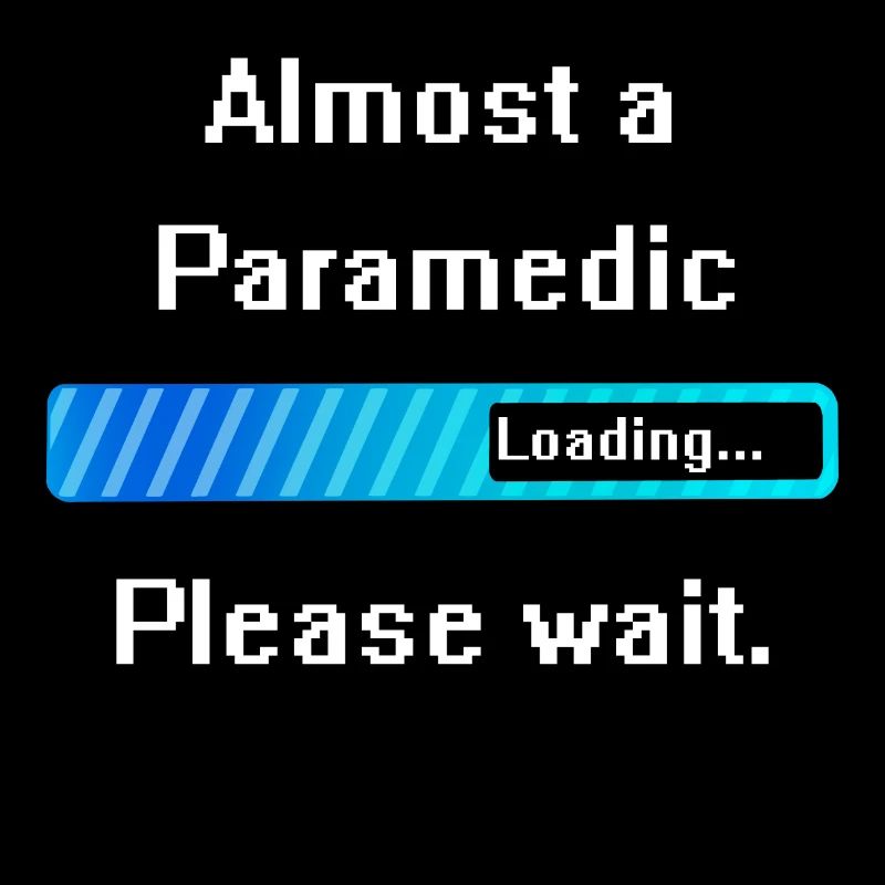 Paramedic Paramedic Training Profession