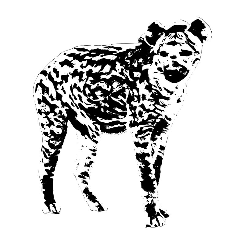 Hyäne