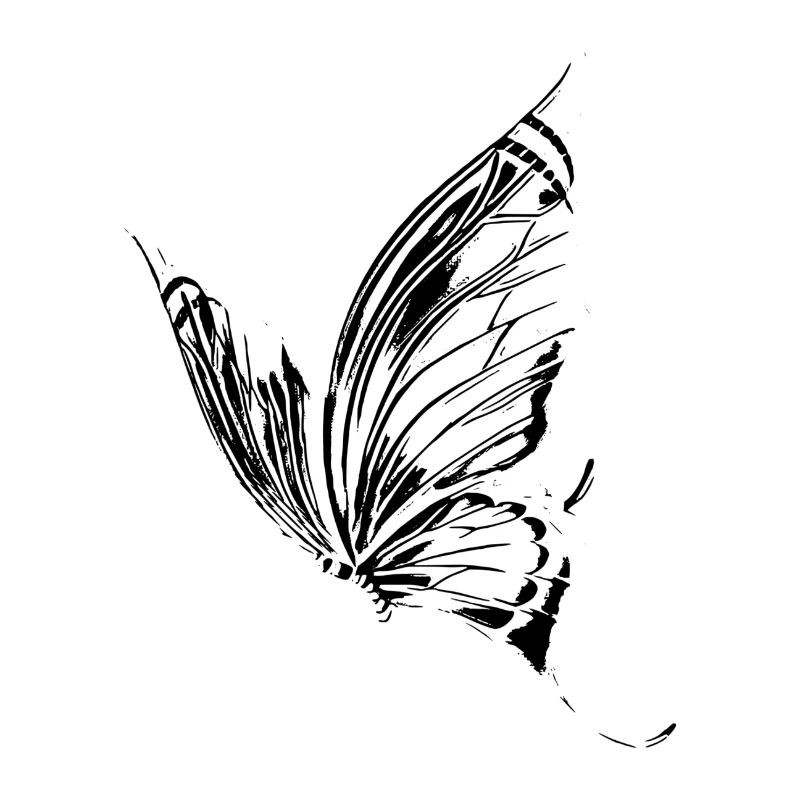 papillon