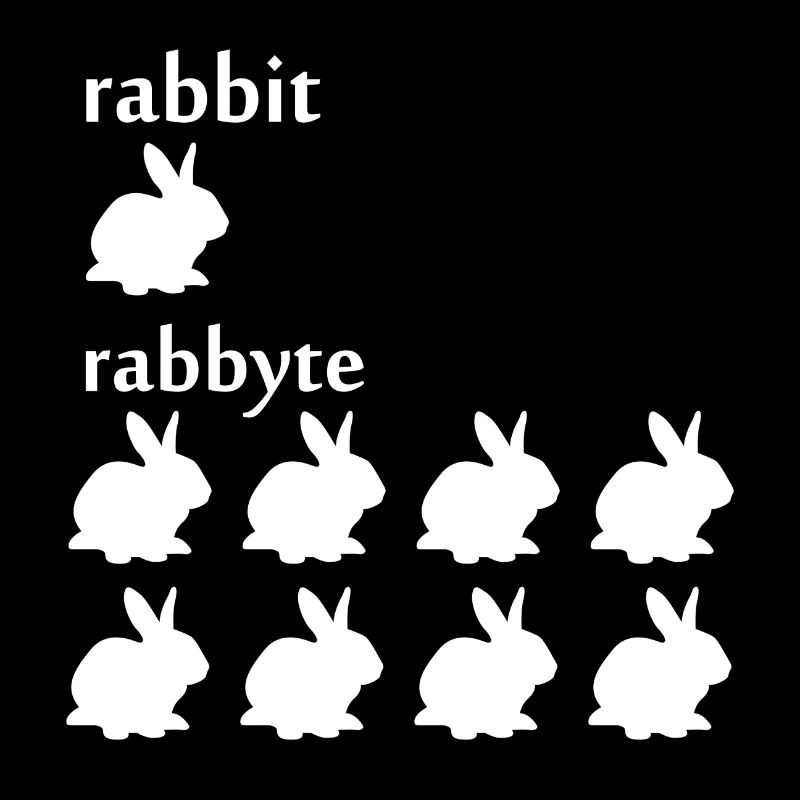 Programmierer Informatiker byte Rabbit Geschenk