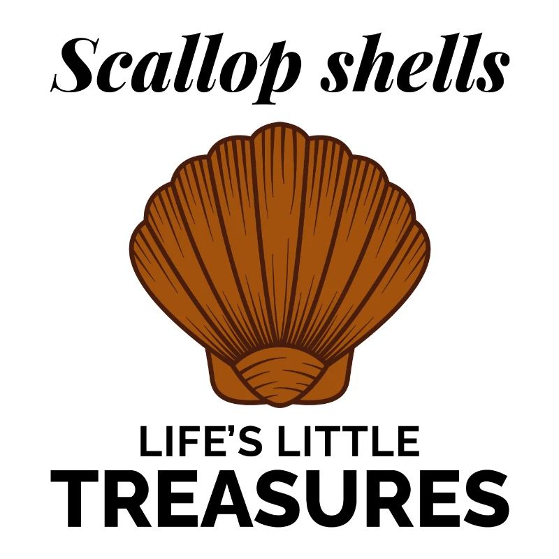 Scallop Seashells Collector Beachcomber Shellfish