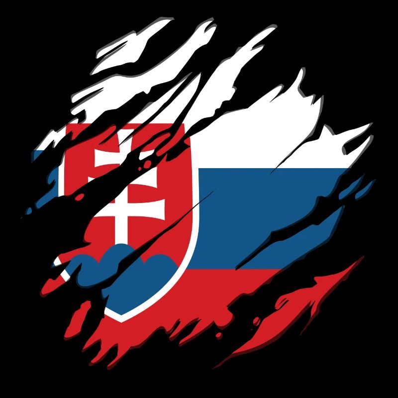 Drapeau de la Slovaquie rayures usé look coupé slovaque