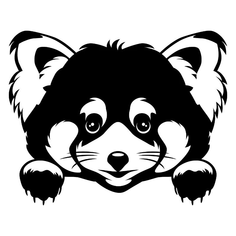 Coup d’œil mignon panda roux. Version noir et blanc