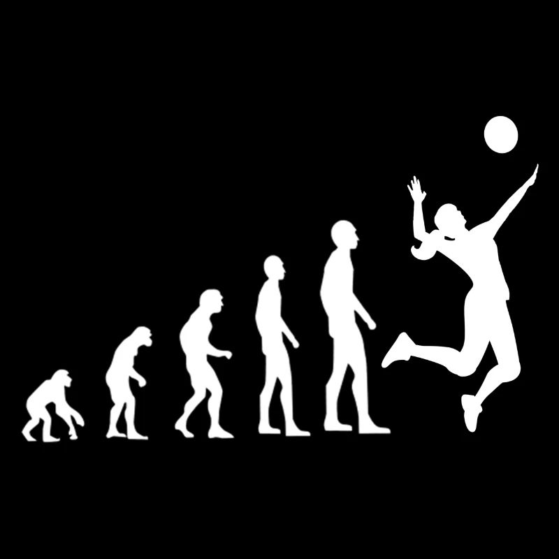 Volleyball Evolution