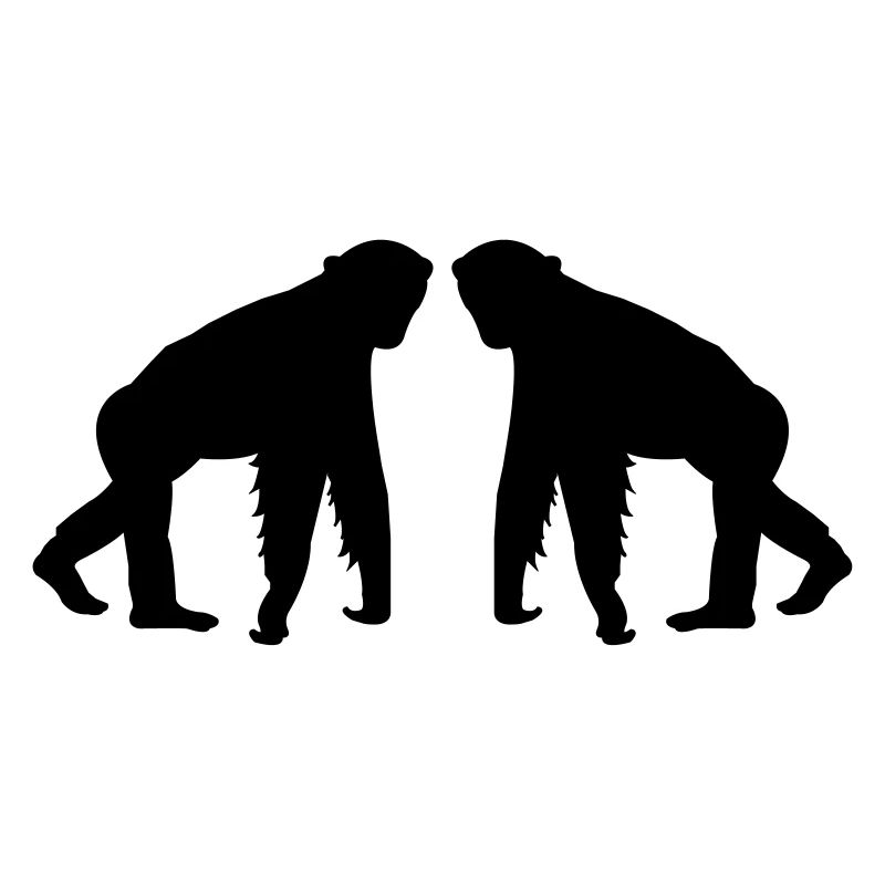 monkeys 2