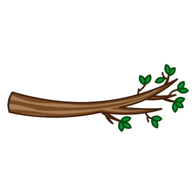 Branch / branch / tree / tree / arbre