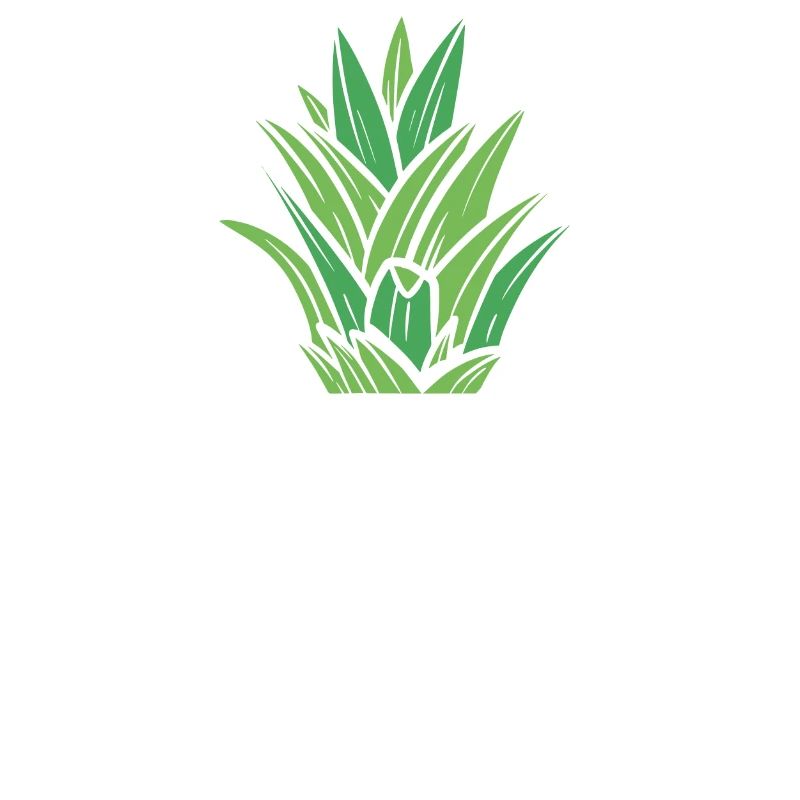 Math Pi-Pineapple Pi