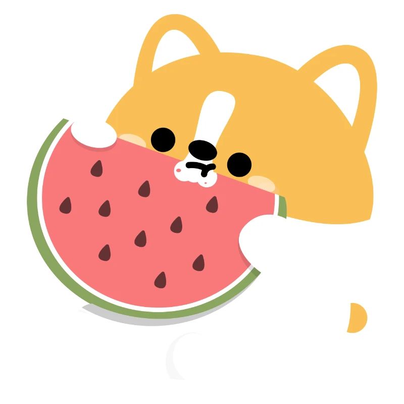 Corgi Chiot Pastèque