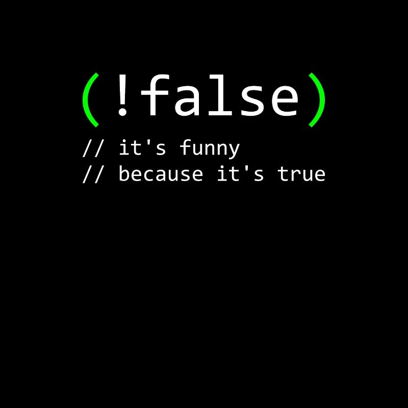 Programmer Humor false true funny Nerd Geek