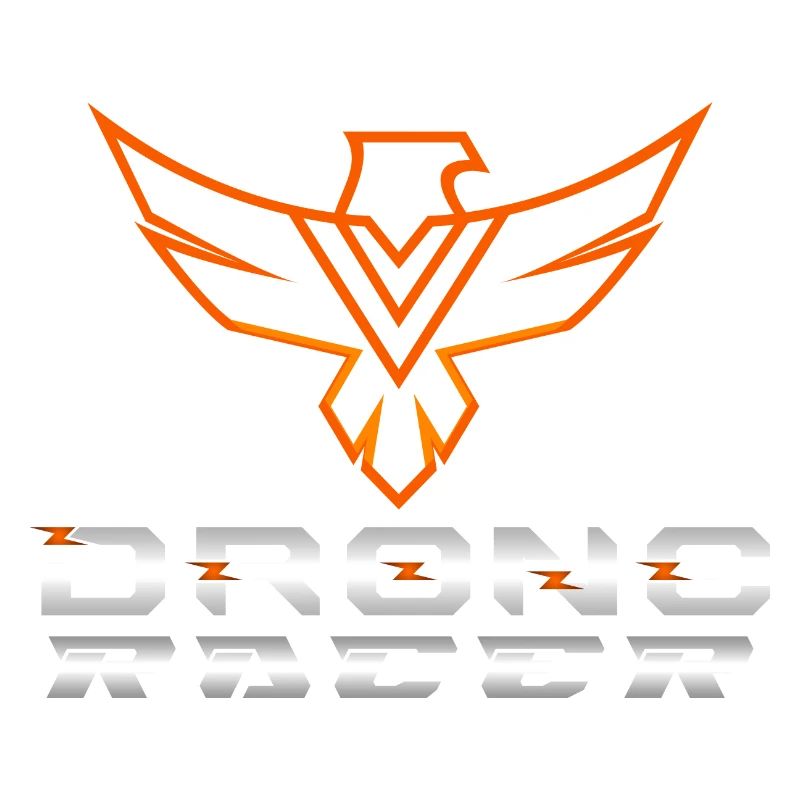 Drone Drones Drone Flight Drone Pilot