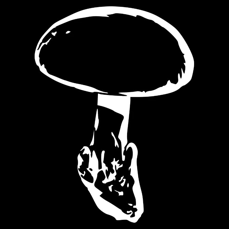 Champignon blanc, cueillette de champignons