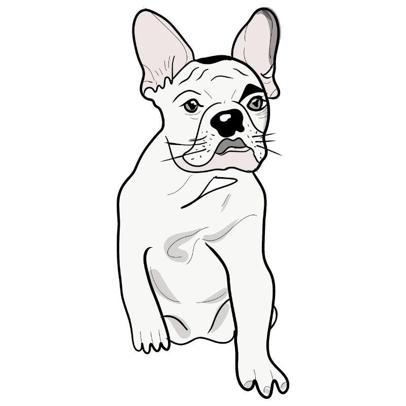 CUTE PUG