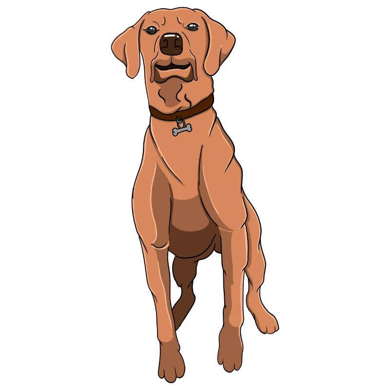 Rhodesian Ridgeback