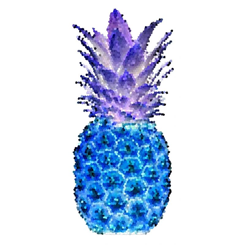 ANANAS MOSAIC night