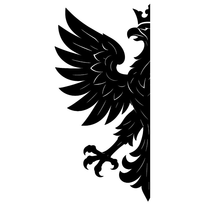 Pologne Polska Eagle Drapeau Drapeau Noir Cadeau