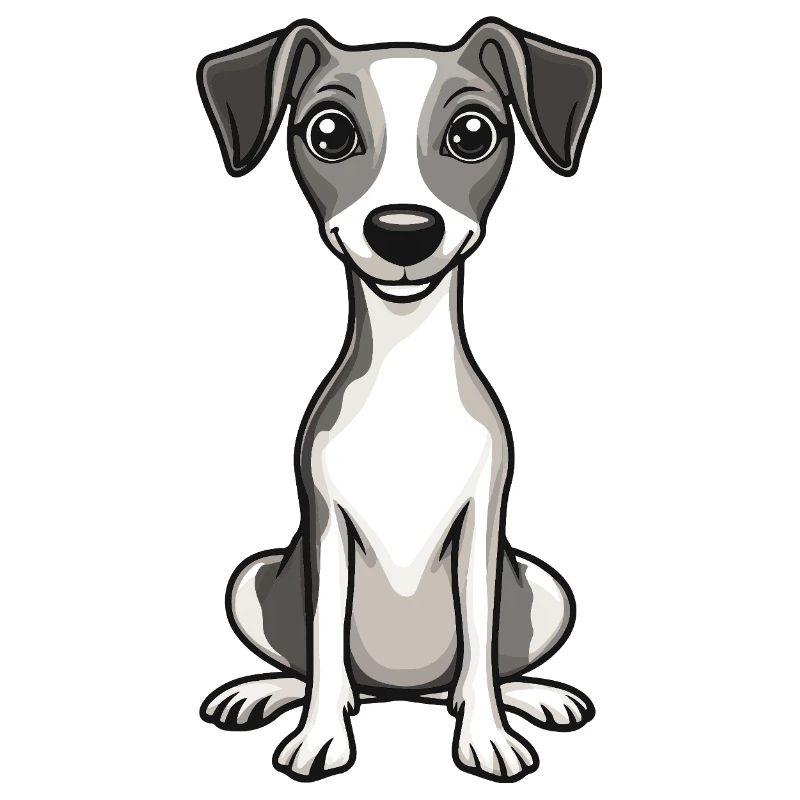 Whippet Chien Mignon