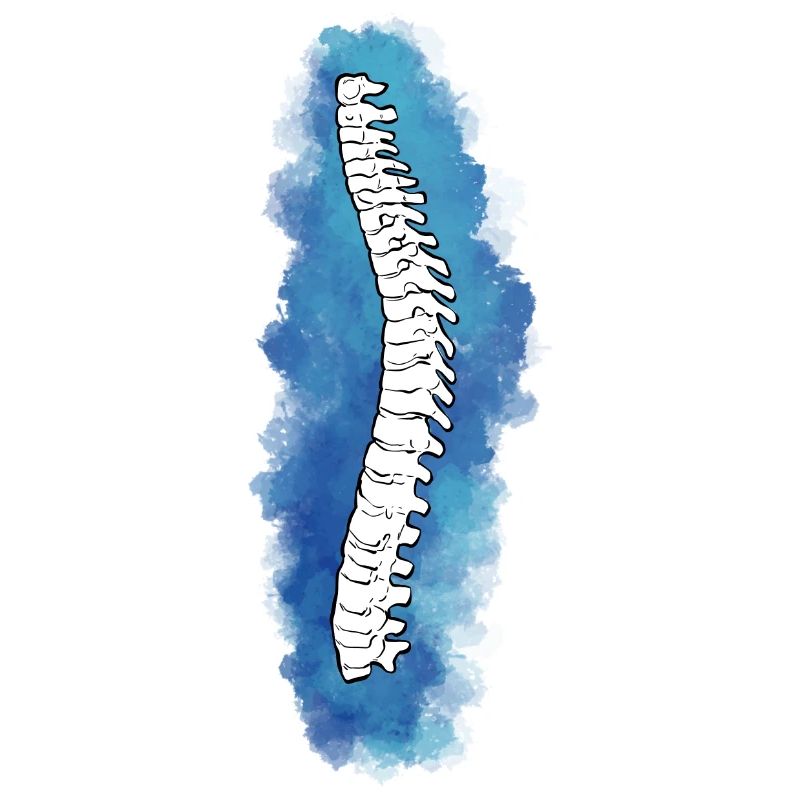 Physiotherapist Chiropractor Physiotherapy