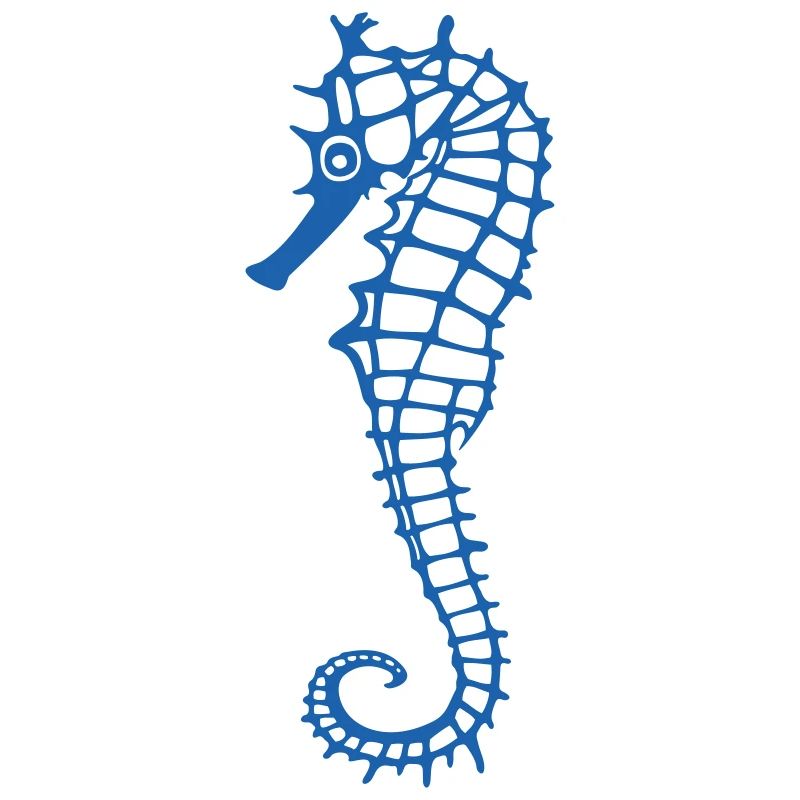 Seepferdchen