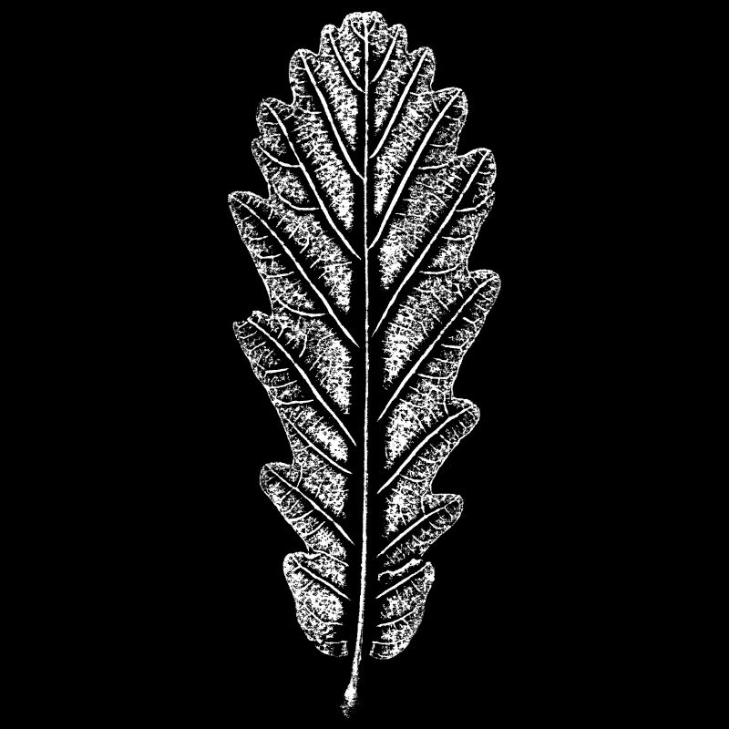 Feuille de chêne / Feuilles Empreinte:
