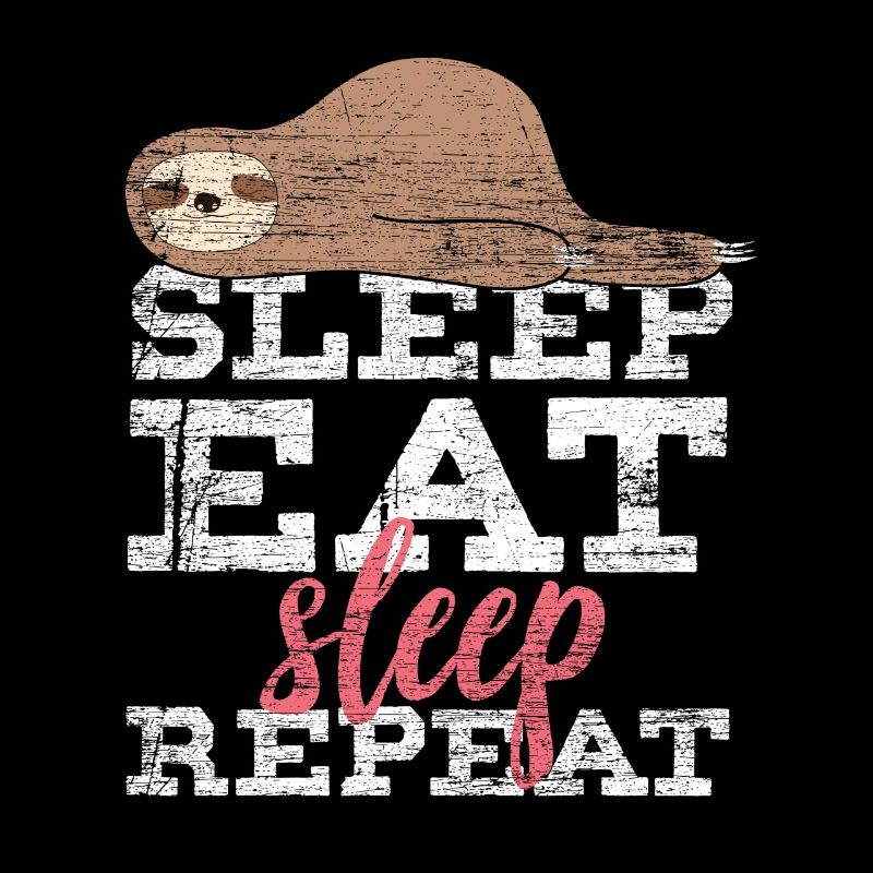 Sleeping sloth gift idea lazy laziness